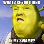 trumpShrek | WHAT ARE YOU DOING; IN MY SWAMP? | image tagged in trumpshrek | made w/ Imgflip meme maker