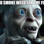 My precious | WHEN YOU SMOKE WEED FOR THE FIRST TIME | image tagged in my precious | made w/ Imgflip meme maker