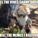 Krazy Koala | KILL THE VINES SHAME ON YOU; KILL THE MEMES I KILL YOU | image tagged in krazy koala | made w/ Imgflip meme maker