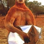 Kangaroo Crushing tin bucket | TRY ME MATE, I DARE YA! | image tagged in kangaroo crushing tin bucket | made w/ Imgflip meme maker