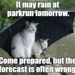 parkrun rain cats | It may rain at parkrun tomorrow. Come prepared, but the forecast is often wrong. | image tagged in cats in the rain,parkrun | made w/ Imgflip meme maker