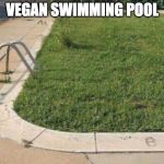 Upvotes for spelling it right? ;) | VEGAN SWIMMING POOL | image tagged in vegan pool,vegan,swimming,swimming pool,vegen | made w/ Imgflip meme maker