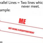 Parellel Lines | ME; NOT BEING A DISAPPOINTMENT | image tagged in parellel lines | made w/ Imgflip meme maker