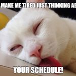 tired cat | YOU MAKE ME TIRED JUST THINKING ABOUT; YOUR SCHEDULE! | image tagged in tired cat | made w/ Imgflip meme maker