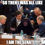 Funny Guy Palpatine | SO THEN I WAS ALL LIKE; I AM THE SENATE!!! | image tagged in funny guy palpatine | made w/ Imgflip meme maker