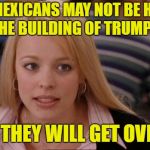 Just another brick in the wall? | THE MEXICANS MAY NOT BE HAPPY WITH THE BUILDING OF TRUMP'S WALL; BUT THEY WILL GET OVER IT | image tagged in memes,its not going to happen | made w/ Imgflip meme maker