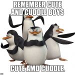 Madagascar penguins | REMEMBER CUTE AND CUDDLE BOYS; CUTE AMD CUDDLE. | image tagged in madagascar penguins | made w/ Imgflip meme maker