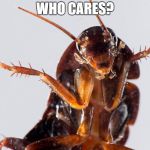 Cockroach | WHO CARES? | image tagged in cockroach | made w/ Imgflip meme maker