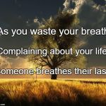 Tree of Life | As you waste your breath; Complaining about your life, Someone breathes their last. | image tagged in tree of life | made w/ Imgflip meme maker