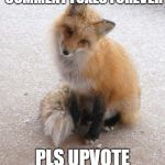 Fox | IF YOU LOVE FOXES COMMENT FOXES FOREVER; PLS UPVOTE IF YOU WANT | image tagged in fox | made w/ Imgflip meme maker