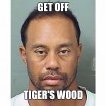 Tiger Woods Mug Shot | GET OFF; TIGER'S WOOD | image tagged in tiger woods mug shot | made w/ Imgflip meme maker