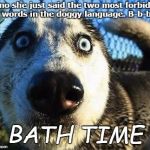 My dogs when bath time comes | Oh,no she just said the two most forbidden words in the doggy language. B-b-b; BATH TIME | image tagged in scared dog | made w/ Imgflip meme maker