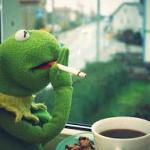 Kermit smoking