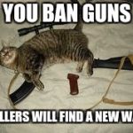 Cat Gun | YOU BAN GUNS; KILLERS WILL FIND A NEW WAY | image tagged in cat gun,memes,gun,meme | made w/ Imgflip meme maker