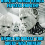 Robot overlords will learn | HOW DID HUMAN BEINGS EXPRESS EMPATHY; BEFORE THE PHRASE "THAT SUCKS" WAS COINED? | image tagged in memes,robots | made w/ Imgflip meme maker