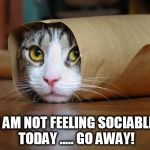 cute and funny animal pictures 6 | I AM NOT FEELING SOCIABLE TODAY ..... GO AWAY! | image tagged in cute and funny animal pictures 6 | made w/ Imgflip meme maker