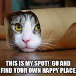 cute and funny animal pictures 6 | THIS IS MY SPOT!  GO AND FIND YOUR OWN HAPPY PLACE. | image tagged in cute and funny animal pictures 6 | made w/ Imgflip meme maker