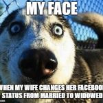 bad news | MY FACE; WHEN MY WIFE CHANGES HER FACEBOOK STATUS FROM MARRIED TO WIDOWED | image tagged in scared dog,facebook problems | made w/ Imgflip meme maker