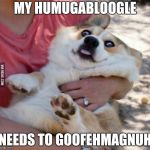 Derp Dog | MY HUMUGABLOOGLE; NEEDS TO GOOFEHMAGNUH | image tagged in derp dog | made w/ Imgflip meme maker