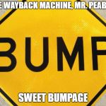 Bump | NICE WAYBACK MACHINE, MR. PEABODY; SWEET BUMPAGE | image tagged in bump | made w/ Imgflip meme maker