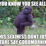 Sassy Monkey | YOU KNOW YOU SEE ALL; THIS SEXINESS DONT JUST STARE SAY GOODMORNING | image tagged in sassy monkey | made w/ Imgflip meme maker