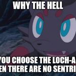 I swear people are really stupid. | WHY THE HELL; WOULD YOU CHOOSE THE LOCH-AND-LOAD WHEN THERE ARE NO SENTRIES?! | image tagged in zorua wtf,tf2 | made w/ Imgflip meme maker