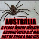 NIGHTMARE | AUSTRALIA; A PLACE WHERE WALKING AROUND WITH B.O. MAY NOT BE SUCH A BAD IDEA! | image tagged in nightmare | made w/ Imgflip meme maker