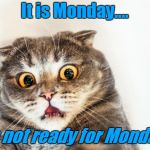 horrified cat | It is Monday.... I'm not ready for Monday... | image tagged in horrified cat | made w/ Imgflip meme maker