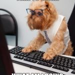 work time | TIME TO WORK; WHAT AM I DOING | image tagged in work dog | made w/ Imgflip meme maker