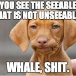 Well Shit | YOU SEE THE SEEABLE THAT IS NOT UNSEEABLE... WHALE, SHIT. | image tagged in well shit | made w/ Imgflip meme maker