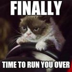 Grumpy Cat Car | FINALLY; TIME TO RUN YOU OVER | image tagged in grumpy cat car | made w/ Imgflip meme maker