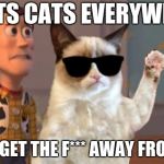 Grumpy Cat Everywhere | CATS CATS EVERYWERE; NOW GET THE F*** AWAY FROM ME | image tagged in grumpy cat everywhere | made w/ Imgflip meme maker