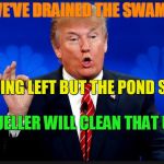 trump | WE'VE DRAINED THE SWAMP; NOTHING LEFT BUT THE POND SCUM; MUELLER WILL CLEAN THAT UP | image tagged in trump,mueller,collusion,politics,corruption,drain the swamp | made w/ Imgflip meme maker