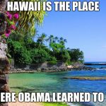 Working on my roasts | HAWAII IS THE PLACE; WHERE OBAMA LEARNED TO PEE | image tagged in hawaii,obama | made w/ Imgflip meme maker