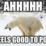 pooping bear | AHHHHH; FEELS GOOD TO POO | image tagged in pooping bear | made w/ Imgflip meme maker