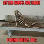 Die a hoe | AFTER WW3, WE HAVE; FOUND MILEY, RIP. | image tagged in die a hoe | made w/ Imgflip meme maker