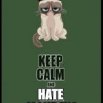 Grumpy cat meme meme | HATE MONDAYS | image tagged in grumpy cat meme meme | made w/ Imgflip meme maker
