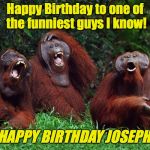 laughing orangutans | Happy Birthday to one of the funniest guys I know! HAPPY BIRTHDAY JOSEPH | image tagged in laughing orangutans | made w/ Imgflip meme maker