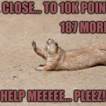 Desperately seeking help | SO... CLOSE... TO 10K POINTS... 187 MORE... HELP MEEEEE... PLEEZ! | image tagged in desperately seeking help | made w/ Imgflip meme maker