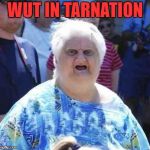 wut | WUT IN TARNATION | image tagged in wut | made w/ Imgflip meme maker