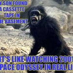 Ancient artifacts found | MY SON FOUND A CASSETTE TAPE IN THE BASEMENT; IT'S LIKE WATCHING 2001 SPACE ODYSSEY IN REAL LIFE | image tagged in 2001 apes | made w/ Imgflip meme maker