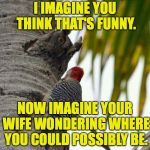 For Whom the Owl Tolls. | I IMAGINE YOU THINK THAT'S FUNNY. NOW IMAGINE YOUR WIFE WONDERING WHERE YOU COULD POSSIBLY BE. | image tagged in irritated owl,memes,the history of bad ideas | made w/ Imgflip meme maker