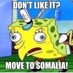 Move to somalia | DON'T LIKE IT? MOVE TO SOMALIA! | image tagged in stupid spongebob,libertarian | made w/ Imgflip meme maker