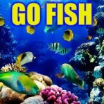 Imgfish | GO FISH | image tagged in aquarium fishes,image fish,memafish,tunameme,i a memer | made w/ Imgflip meme maker