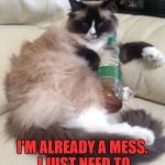 Wet Hot Mess | I'M ALREADY A MESS. I JUST NEED TO ADD SOME HOT TO IT. | image tagged in wet hot mess,hot mess,funny,memes,funny memes | made w/ Imgflip meme maker