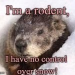 groundhog in snow | I'm a rodent, I have no control over snow! | image tagged in groundhog in snow | made w/ Imgflip meme maker