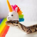 Snake with Unicorn Hat