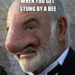 Sean Connery nose close up | WHEN YOU GET STUNG BY A BEE | image tagged in sean connery nose close up | made w/ Imgflip meme maker