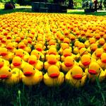 Rubber Ducky Army