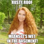 Ginger | RUSTY ROOF; MEANS IT'S WET IN THE BASEMENT! | image tagged in ginger | made w/ Imgflip meme maker